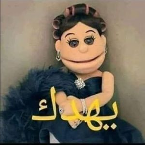 Meet your Posher, Mona